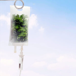 Cocteles polirevitalizantes